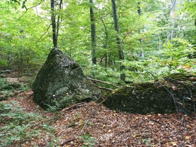 Прикрепленное изображение: 011.jpg